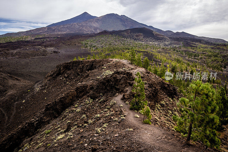 El Teide火山，Pico Viejo和montana de la Botija，从西班牙加那利群岛特内里费El Teide国家公园的montana Samara俯瞰